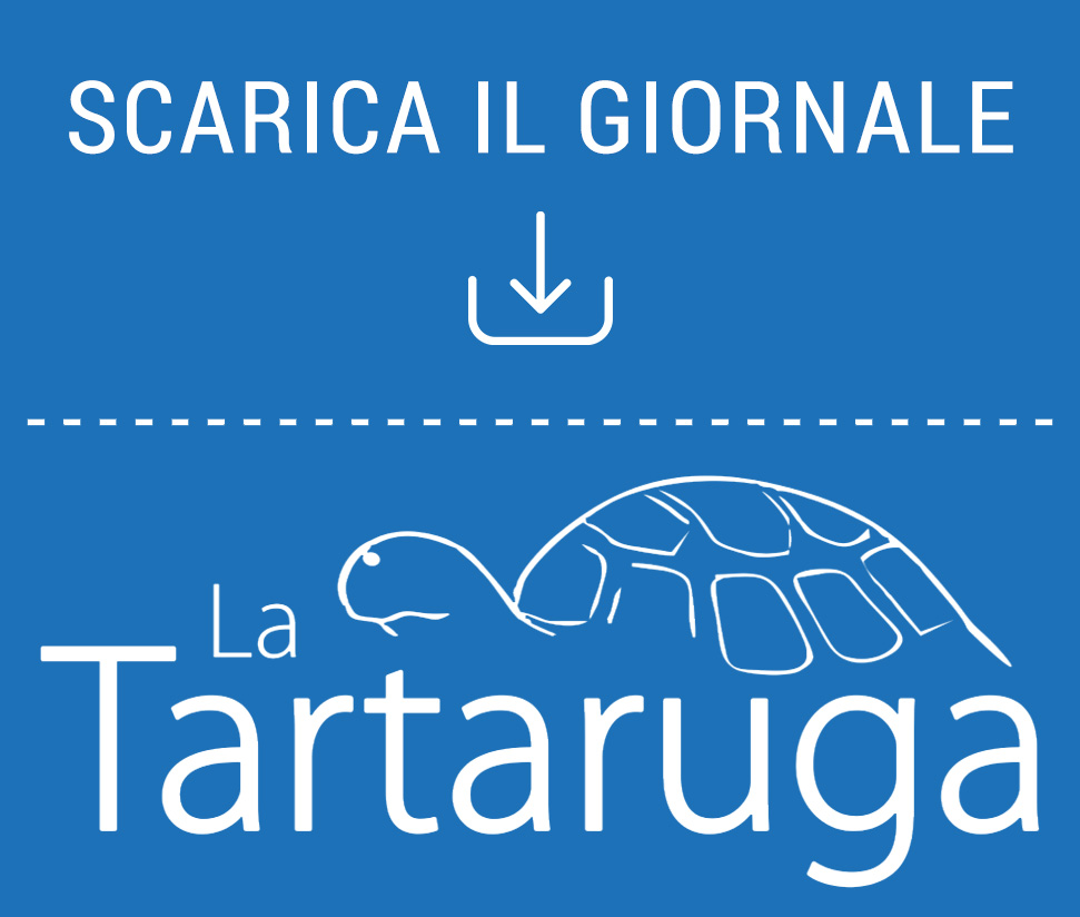 Scarica La Tartaruga